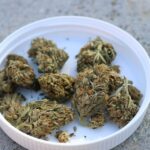 elsa-olofsson-LM2T9UKkigU-unsplash@2x