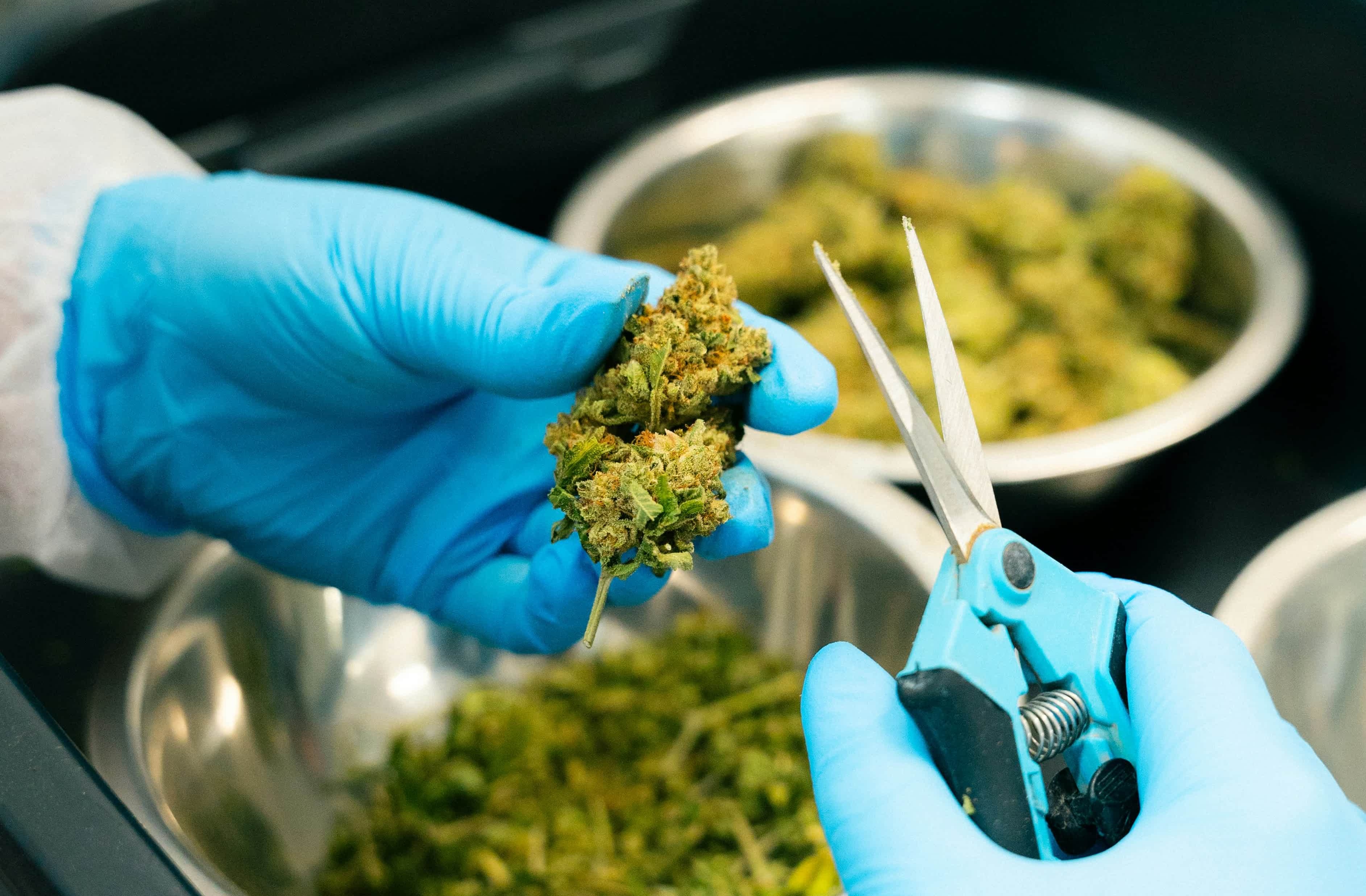 evan-strock-BSp9tPWS3qQ-unsplash2x (1)