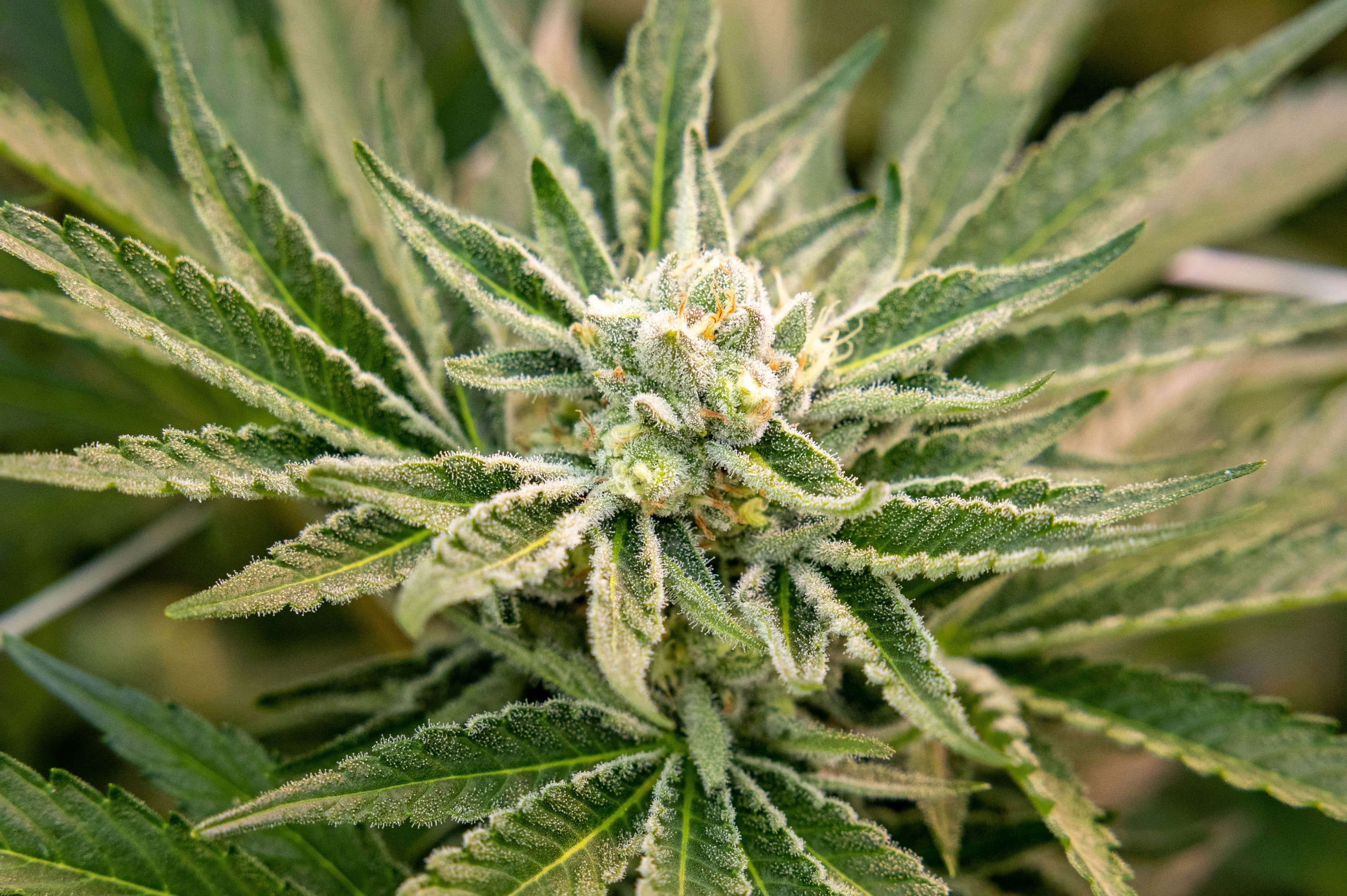 leo_visions-A9W8k7cYvzU-unsplash2x (1) (1)